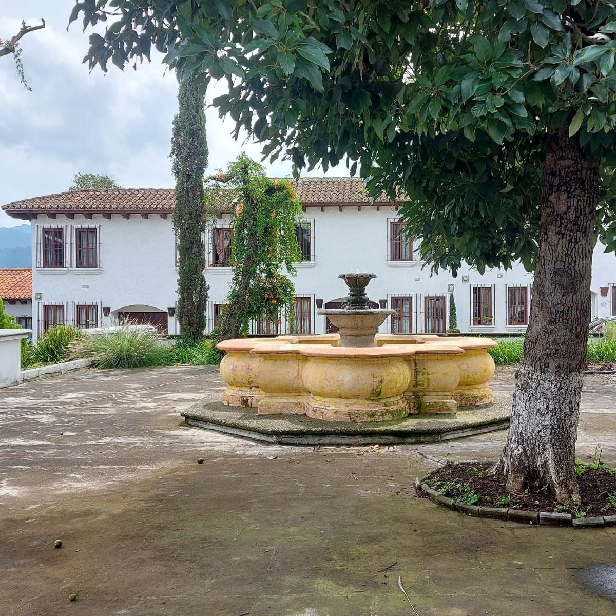 ¡Suscríbete hoy mismo!